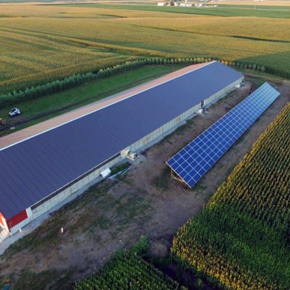 farm solar